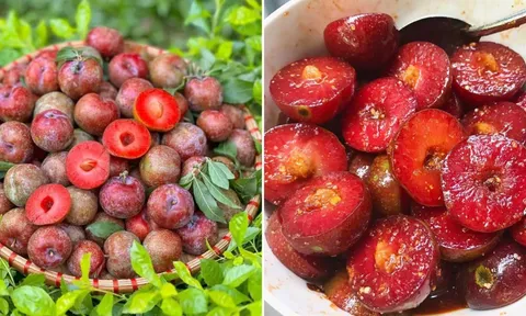 Mận chín ngon khó cưỡng nhưng có 6 nhóm người không nên ăn, thèm mấy cũng đừng động vào