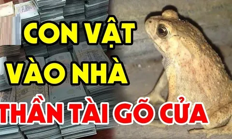 4 con vật Đệ Tử Thần Tài, vào nhà nào nhà đấy Tiền Tài nảy số