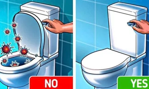 Nên đóng hay mở nắm bồn cầu sau khi dùng? 90% mọi người làm sai bảo sao nhà vệ sinh luôn bốc mùi
