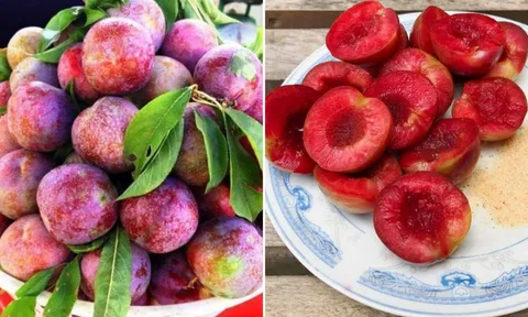 Ăn mận nhớ làm 4 điều này để không bị nóng trong, nổi mụn