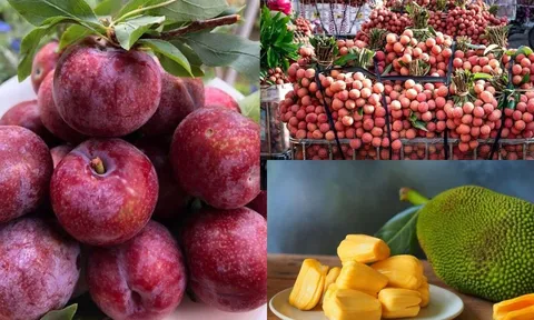Ăn Vải, Mận, Mít có gây "nóng trong" không, tại sao nhiều người bị "nổi mụn" khi ăn?