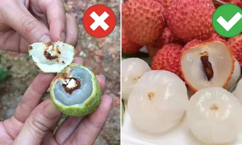 Cách chọn vải không bị sâu đầu, cùi dày, hạt nhỏ