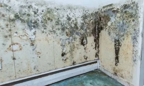 Tường bị ẩm mốc, bong tróc mất thẩm mỹ: Làm cách này là tường sạch đẹp, không tốn chi phí