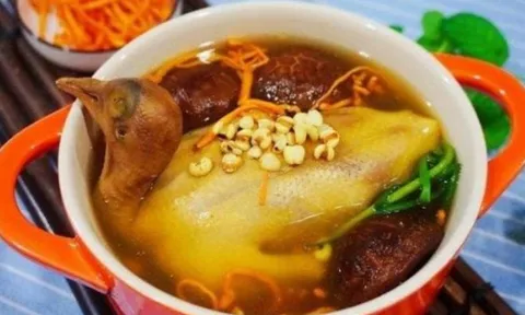 Vì sao thịt chim bồ câu được ví quý hơn 9 con gà? Lợi ích & lưu ý khi dùng