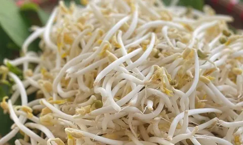 4 loại rau bổ hơn thịt, rẻ hơn thuốc, quý như nhân sâm – nhiều người bỏ qua mà không biết