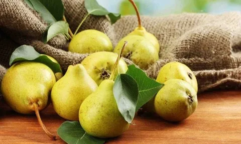 5 loại quả mát gan bổ thận, ăn thường xuyên khoẻ lên trông thấy