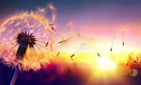 Người xưa dạy: Tha thứ không phải vì người mà vì chính bản thân mình, vì sao?