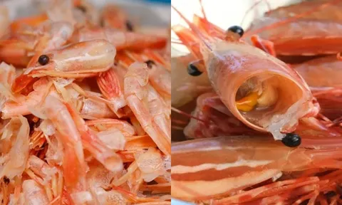 Việt Nam lãng phí “mỏ vàng” từ vỏ tôm: Giá trị gấp 25 lần tôm, cơ hội tỷ đô ai nắm sẽ giàu
