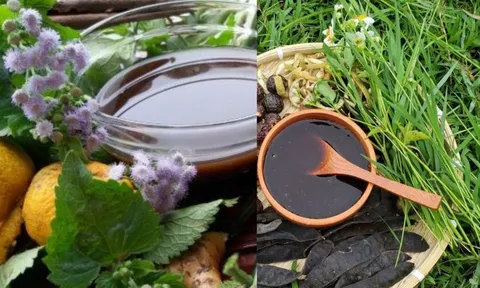 Nhanh tay bứt nắm lá mọc dại về gội đầu, công dụng bất ngờ, tóc suôn mềm, sạch gàu, mọc tóc mới xanh mượt