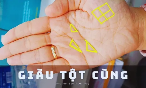 Phụ nữ có bàn tay như vậy đặc biệt dễ giàu có! Xem tay bạn có không?