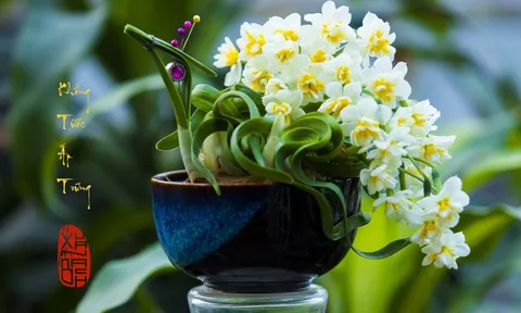 5 loại hoa giúp đánh thức tài lộc, nên đặt ở bàn thờ Thần Tài