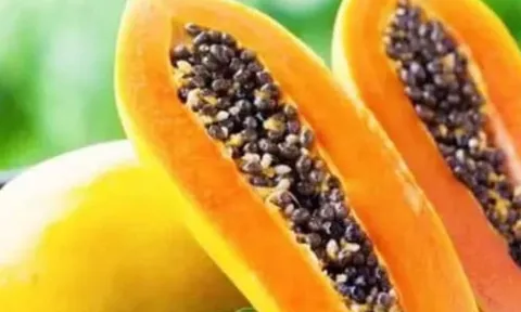 5 loại thực phẩm giúp tái tạo niêm mạc dạ dày – Càng ăn, càng khỏe, không lo viêm loét