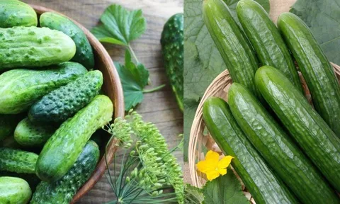 5 nhóm người nên hạn chế ăn Dưa Chuột (Dưa Leo)