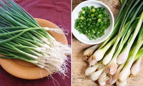Hành lá là gia vị không thể thiếu trong nhiều món nhưng có 4 nhóm người không nên ăn