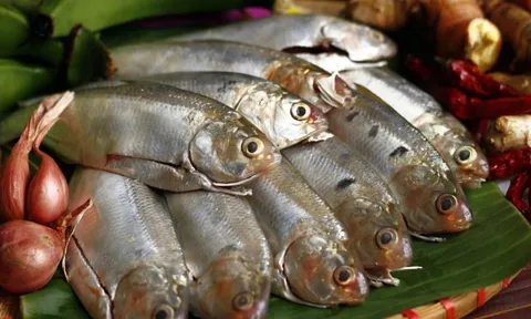 Thấy 7 loại cá này ở chợ phải mua ngay: Dinh dưỡng ngang nhân sâm, rẻ hơn tổ yến, lại không hóa chất
