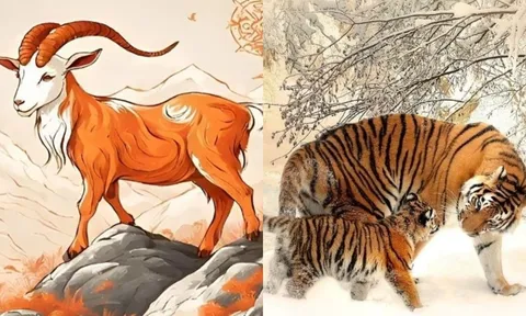 Thứ 4 (18/6) Thần Tài dúi tiền tận tay, cuối tuần này 3 con giáp lộc dâng như thủy triều, giàu sụ