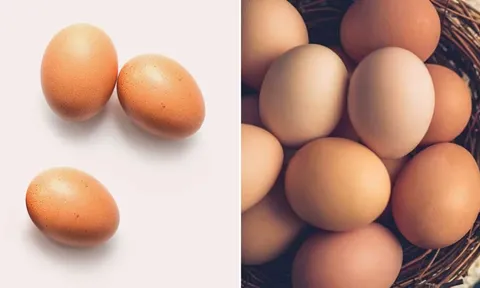 Vì sao quả trứng luôn có một đầu to và một đầu nhỏ?