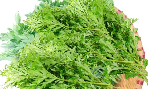 Rau ngải cứu nấu cùng thứ này vừa ngon lại có công dụng tuyệt vời, cả nam nữ đều cần