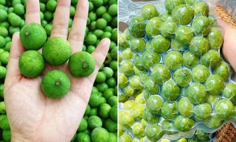 Sấu mua về đừng bỏ ngay vào tủ lạnh, làm theo cách này, để cả năm vẫn tươi ngon