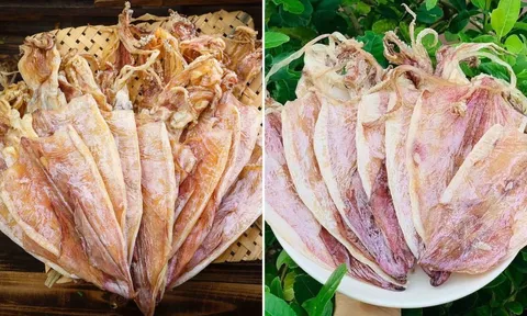 Mua mực khổ phải nhìn đúng điểm này, chọn được hàng chuẩn, ngọt thịt, không sợ mua phải hàng giả