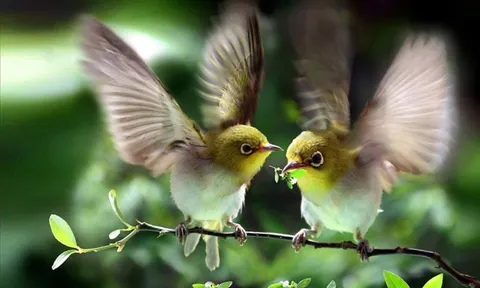 Người sinh vào 5 ngày Âm lịch này, như rượu lâu năm, trước nghèo sau giàu, tuổi cao vận may lớn
