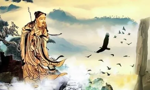 Người xưa dặn: Hai loài chim là “sứ giả của tai ương” bay vào nhà báo hiệu điềm dữ