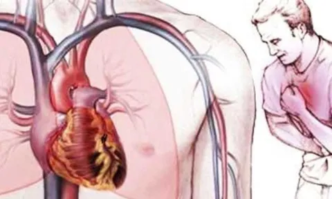 Vì sao tim ít khi bị ung thư? Lý do ít ai ngờ đằng sau sự “miễn nhiễm” đặc biệt của trái tim
