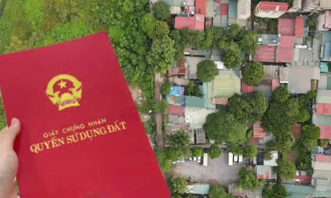 9 trường hợp bắt buộc phải đổi sang mẫu sổ đỏ mới năm 2025: Người dân chú ý