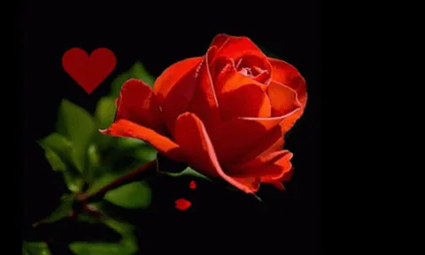Dù yêu tới mấy, phụ nữ cũng phải cảnh giác khi người ấy có 3 biểu hiện này