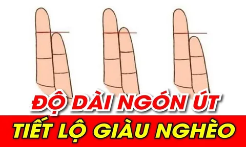 Xem độ dài ngón út, biết ngay ai nghèo hèn mạt kiếp, ai sinh ra "ngậm thìa vàng"