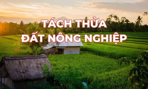 Kể từ bây giờ: Người dân muốn tách thửa đất nông nghiệp cần lưu ý điều này