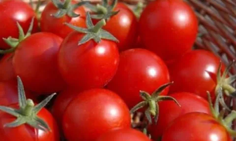 Những dấu hiệu tố cáo cà chua tắm đẫm hóa chất, nhiều người vẫn vô tư ăn hàng ngày