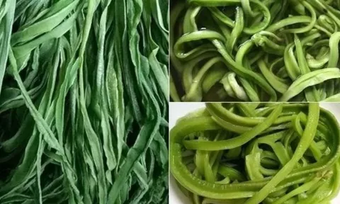 Bật mí loại rau Việt đắt hơn thịt, bổ ngang nhân sâm nhưng ít ai biết để thưởng thức