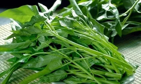 Những người mắc 3 loại bệnh này nên cẩn thận khi ăn rau muống