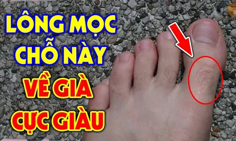 4 vị trí mọc lông Trời Cho Lộc Lớn, mở cửa đón Tiền Tài