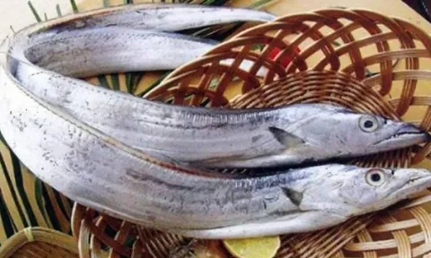 Đi chợ gặp 5 loại cá này đừng tiếc tiền mua, vừa ngon vừa bổ lại đánh bắt tự nhiên 100%