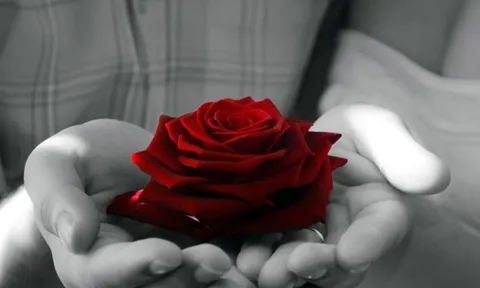 Người tốt với cha mẹ thì có thể tốt với thiên hạ, người tốt với thiên hạ chưa chắc tốt với cha mẹ