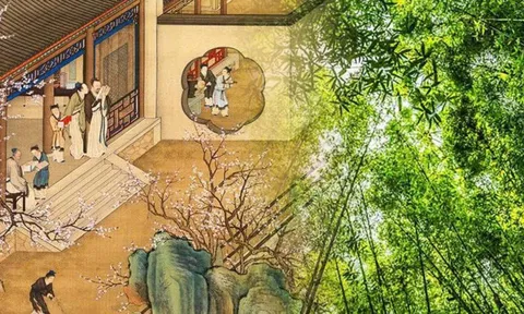 Ông bà dặn: 3 cây này dù nghèo đến mấy cũng đừng chặt, giữ cây là giữ lộc, con cháu được bảo vệ