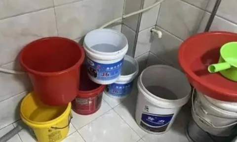 Tại sao tuyệt đối không nên đổ nước xả bồn cầu? Lời cảnh báo bất ngờ từ thợ bảo trì!