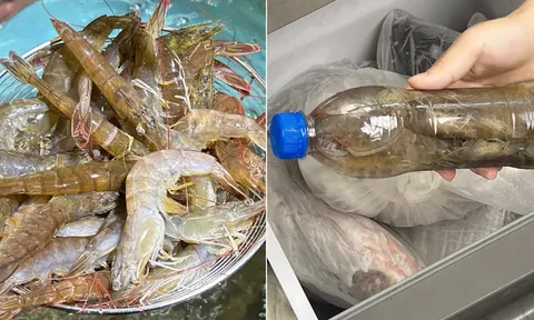 3 mẹo bảo quản tôm tươi lâu, để cả năm vẫn chắc và ngọt thịt
