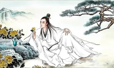Giải mã câu “40 không tham dục, 50 không tham tình, 60 không tham thực” – Ý nghĩa sâu xa ít ai biết
