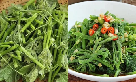 Rau bí – “thuốc bổ gan” dân dã, giàu sắt hơn cả thịt bò