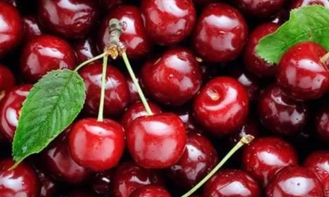 4 loại trái cây cực tốt cho kỳ kinh nguyệt: Giúp bổ máu, giải độc, chống lão hóa và làm sạch tử cung