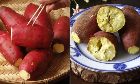 Mẹo luộc khoai lang siêu nhanh của người Nhật, khoai chín bở, ngọt lừ