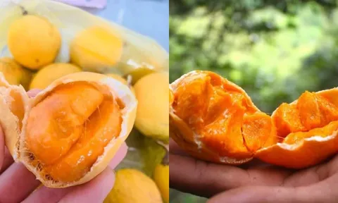 Quả gùi – “viên ngọc thô” từ rừng sâu An Giang bỗng trở thành đặc sản gây sốt phố thị