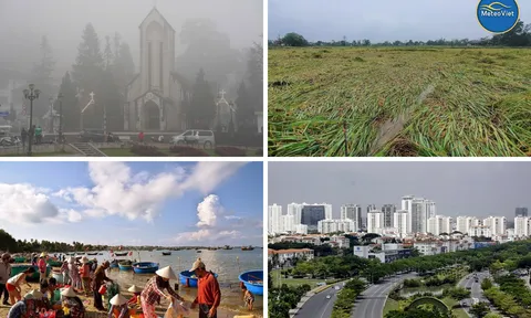 MeteoViet: Nỗ lực đưa dự báo thời tiết chi tiết đến cấp địa phương bằng AI và dữ liệu chính thống.