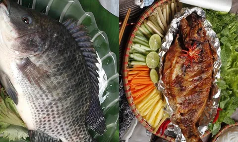 Cá rô phi – “gà nước” bình dân mà bổ xương khớp chẳng thua gì thuốc