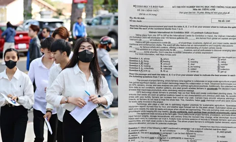 Chi tiết Đáp án đề thi môn Tiếng Anh tốt nghiệp THPT 2025 tất cả các mã đề