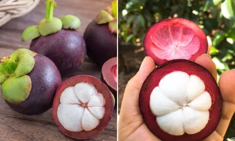 Mẹo chọn măng cụt ngon: Nhìn vào điểm này biết quả nào nhiều múi, căng mọng, vỏ mỏng