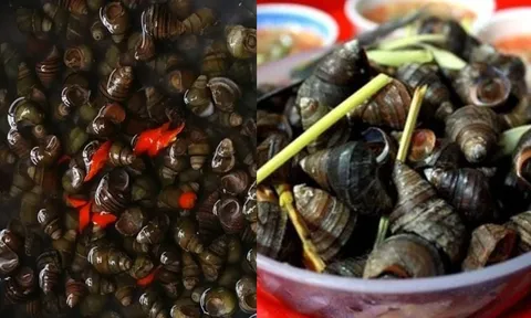 Mẹo ngâm ốc nhanh nhả sạch nhớt, bẩn, không tanh